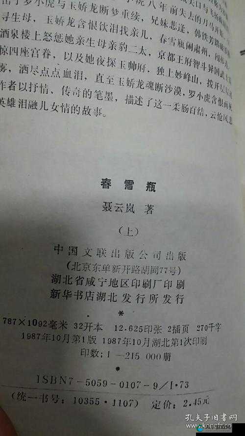 玉娇龙续集春雪瓶txt免费阅读：带你领略精彩武侠世界