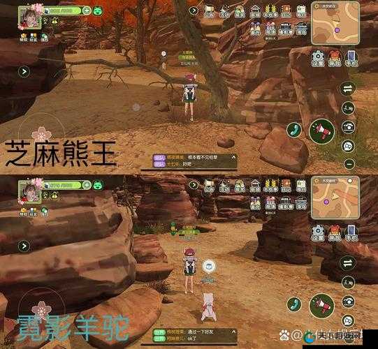 小森生活芝麻熊刷新捕捉全攻略