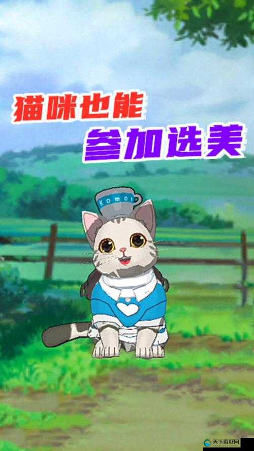 小森生活猫咪选美怎么玩