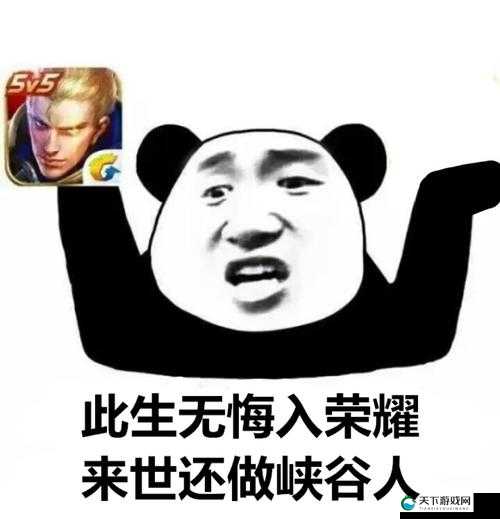 王者荣耀个性表情设置教程分享，资源管理、高效利用与价值最大化