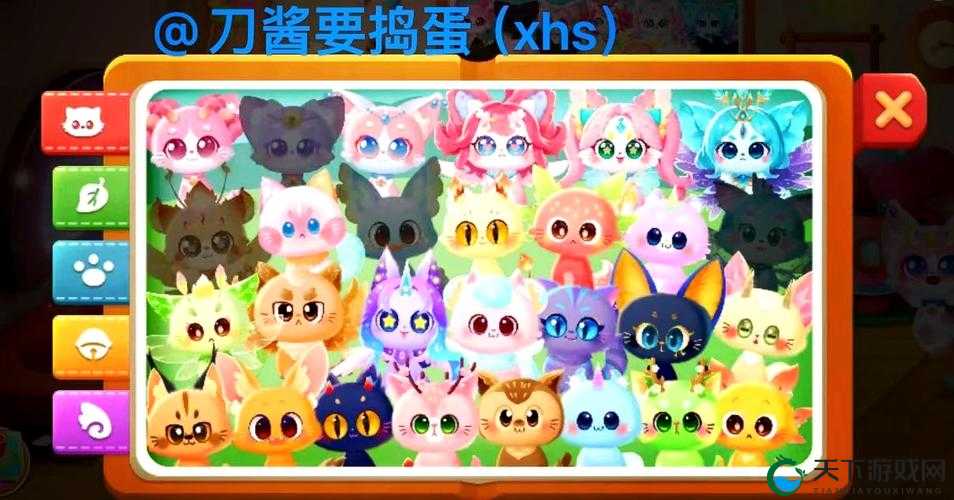 猫咪 MV 最新：萌宠世界的奇妙之旅