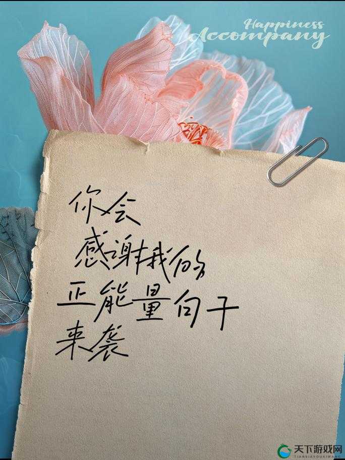 输入WWW你会感谢我的：开启全新精彩世界
