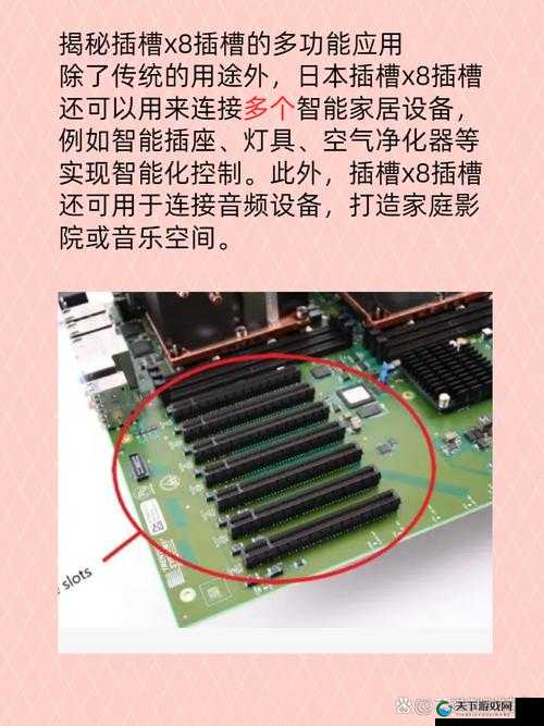 方法日本插槽 x8 究竟是正规还是仿的相关探讨