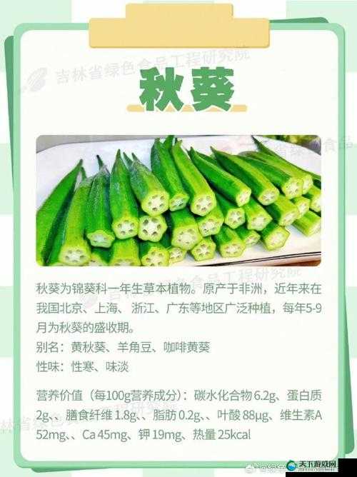 秋葵适合未满十八岁的人吃吗：专家建议及注意事项