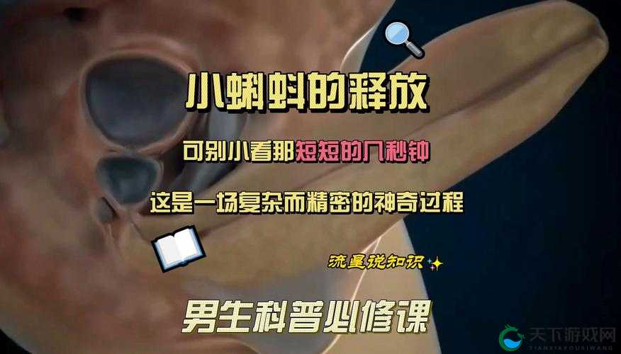 窝蝌蚪是一个释放蝌蚪的地方：探索其背后的生态意义