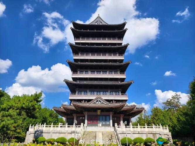 清风阁成年人网：成年人世界的别样风景