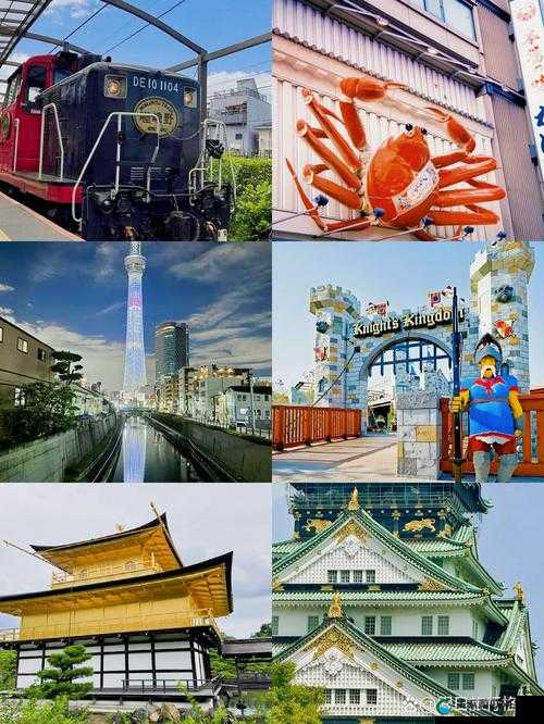 日本xxxxxx：深度探索其独特文化魅力与发展脉络