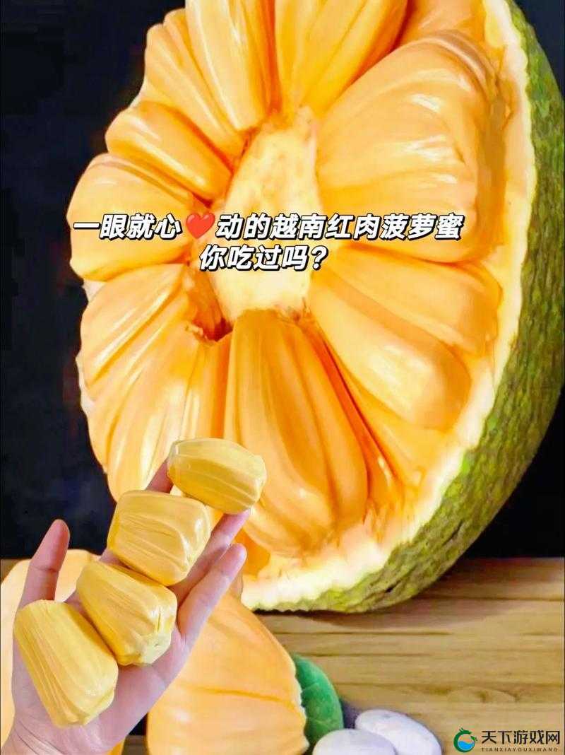 菠萝菠萝蜜视频在线观看高清 1 免费版:畅享精彩无极限