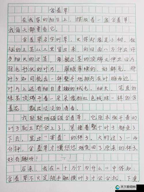三叶草 gy6983:关于它的神奇故事与独特魅力展现