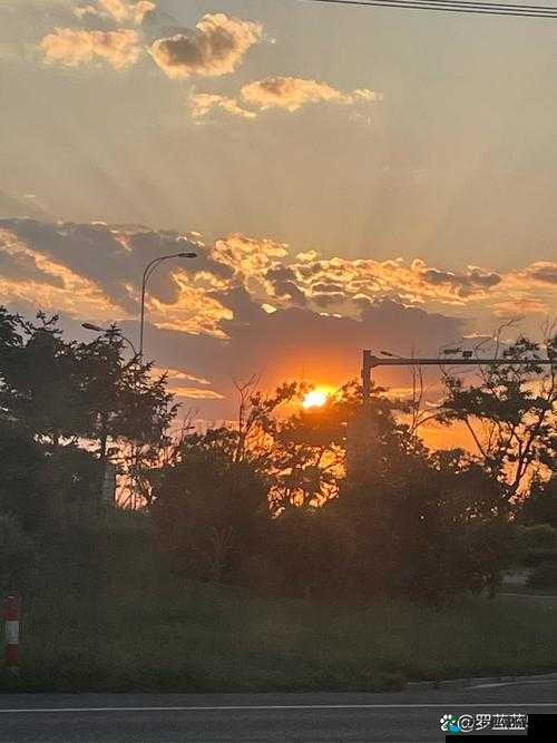 藏精阁91com：一个充满神秘色彩和独特魅力的地方