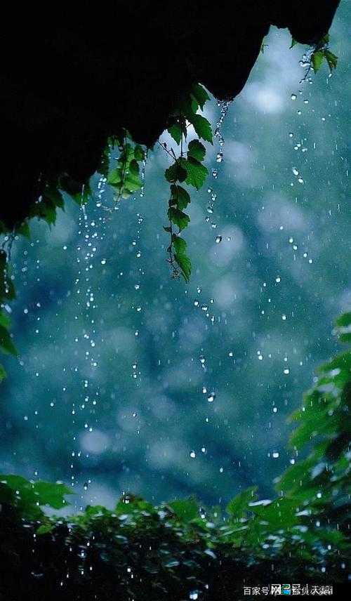 下面湿漉漉的像是刚下过雨：这奇妙的自然景象令人遐想