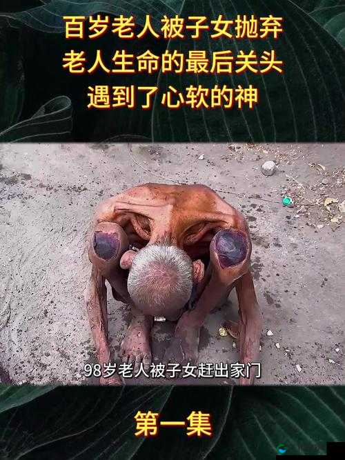 感人至深百岁老太太的别样人生：bb 见证岁月沧桑