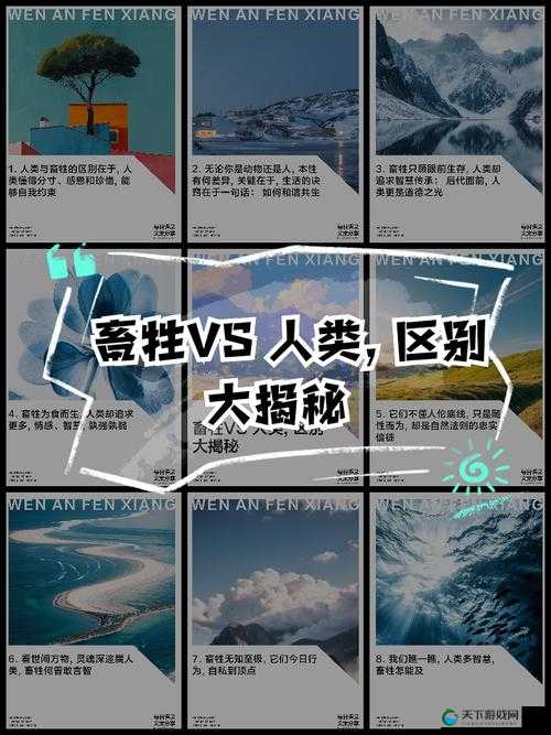 关于畜禽和人的关系以及两者如何和谐共处的探讨