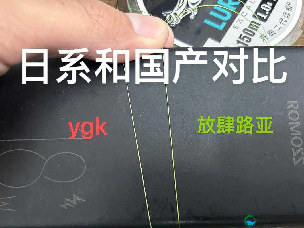 日本线和国产线有什么不同：深度剖析两者差异及特点