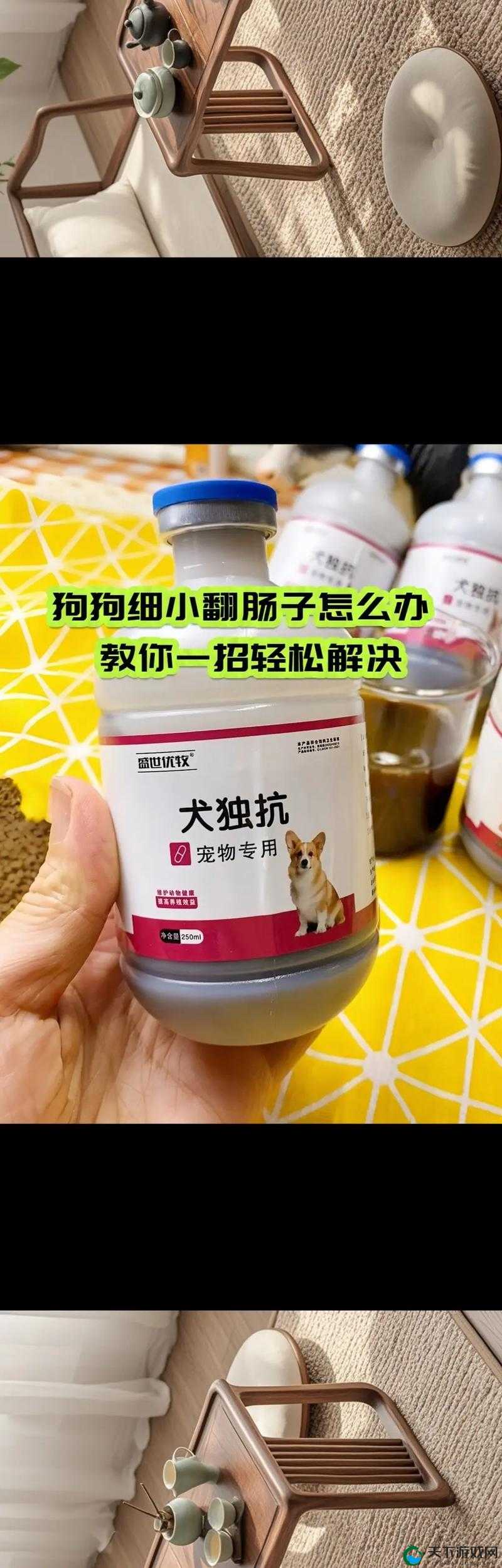 人狗胶配方大全狗狗一天吃多少：详细解析与适宜用量探讨