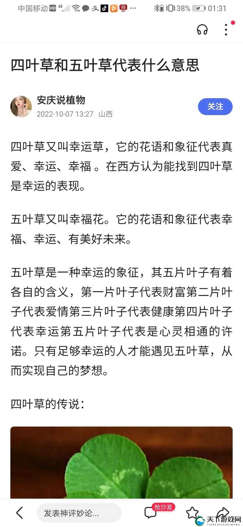成品人精品人的区别四叶草：深入探讨其内涵与意义