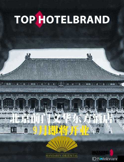 中国东方 XXXXXLmedjyBD：一场文化与艺术的交融之旅