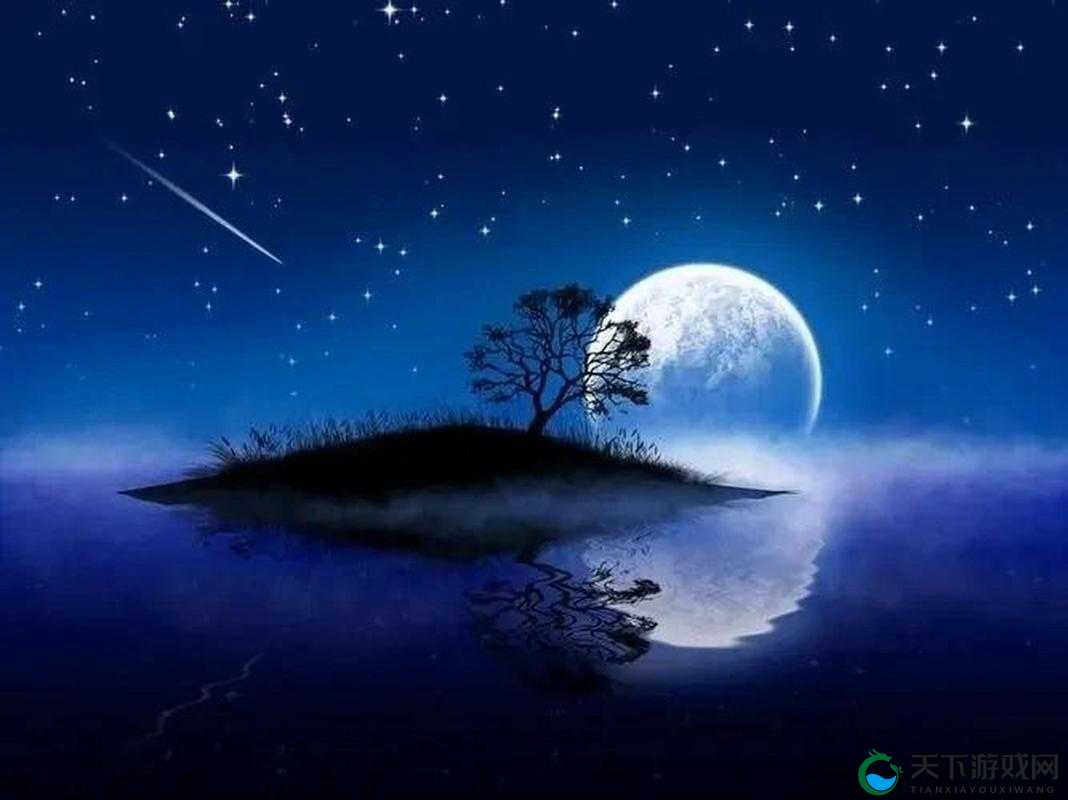星空风月:那璀璨夜空下的清风与皎月之美