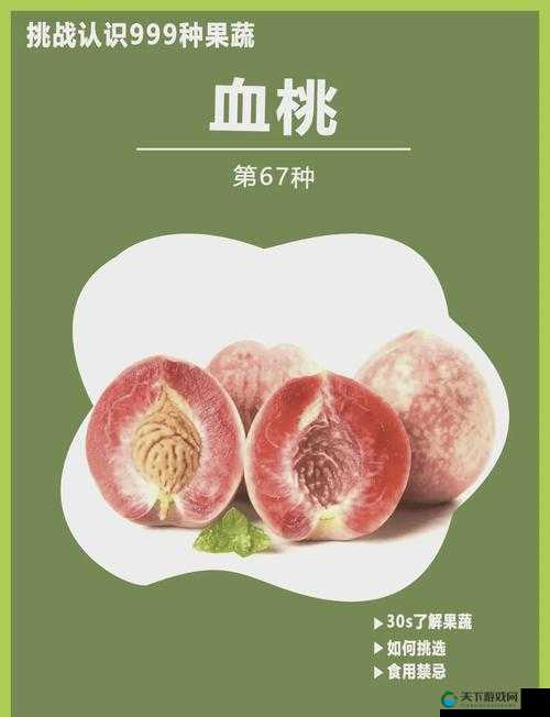 无人一区二区区别是什么红桃：其具体内涵与相关解析