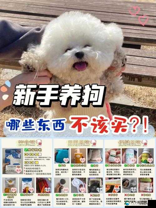 人狗胶配方大全狗狗播放：关于狗狗相关内容的详细介绍