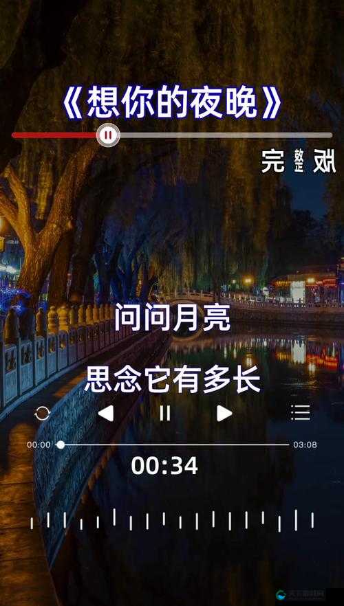 在寂寞的午夜特别的想你：一首触动心灵的情歌
