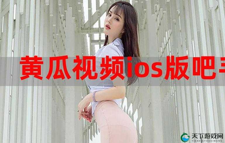 扶老二轻量版 ios 官网：满足你的私密需求