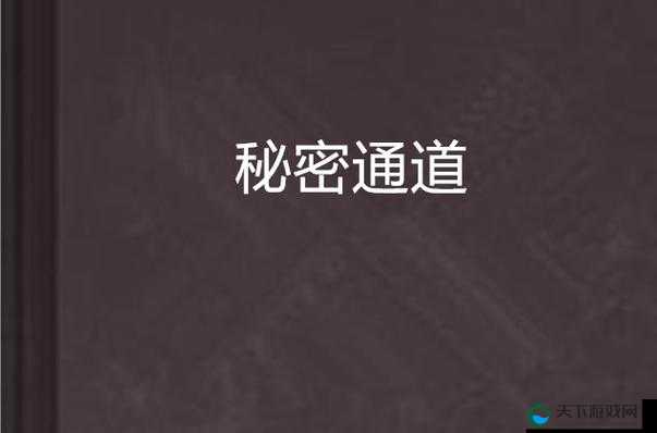 秘密入口专属宅男的秘密通道：探索未知世界的神秘通路