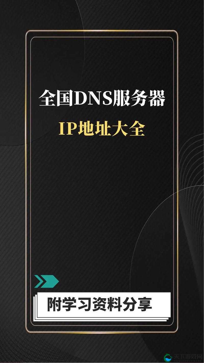 yp 新服务器 ip 地址：探索未知的网络世界