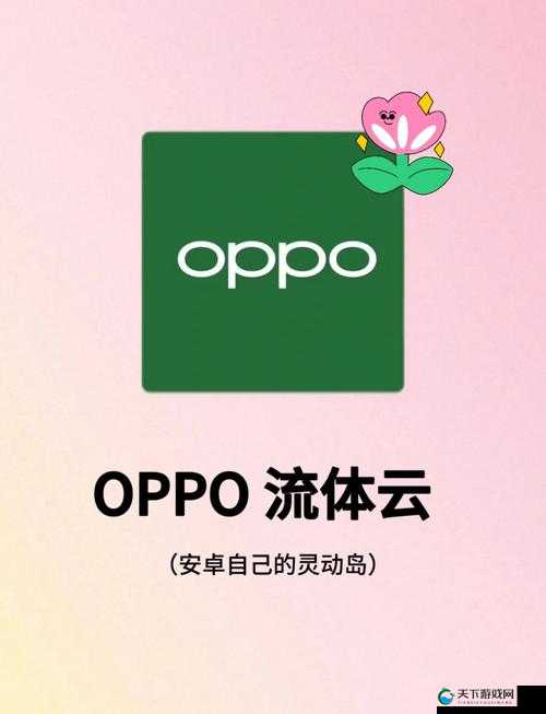 下载 3.0.3 每天无限免费大全 OPPO：畅享海量优质资源