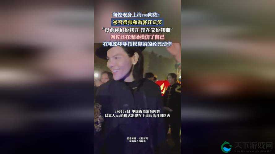 40 岁阿姨荒野大镖客一电影导演的独特艺术世界