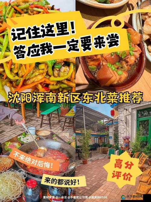 沈阳老阿姨叫的巅峰澎湃：带你领略别样的东北风情