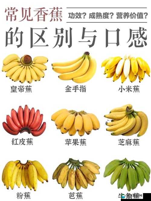 香蕉和忘忧草的区别之形态口感营养等方面的不同之处
