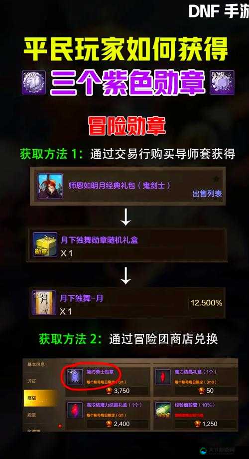 DNF手游至美知识勋章怎么获取