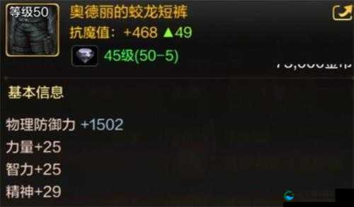 奥德丽的蛟龙史诗套，DNF手游中的极致追求