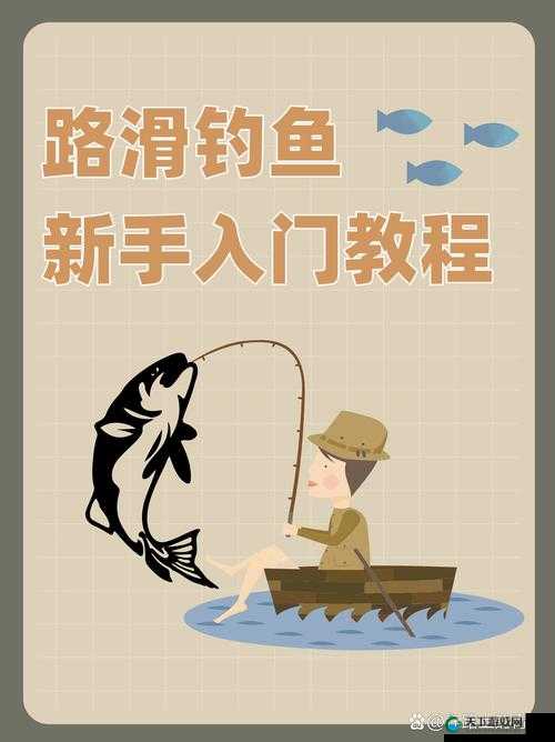 探秘钓鱼艺术，从入门到精通的奇妙旅程