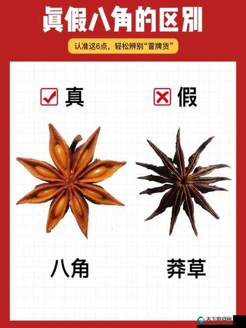 江南百景图八角香料获取秘籍，解锁香料世界的奇妙之旅