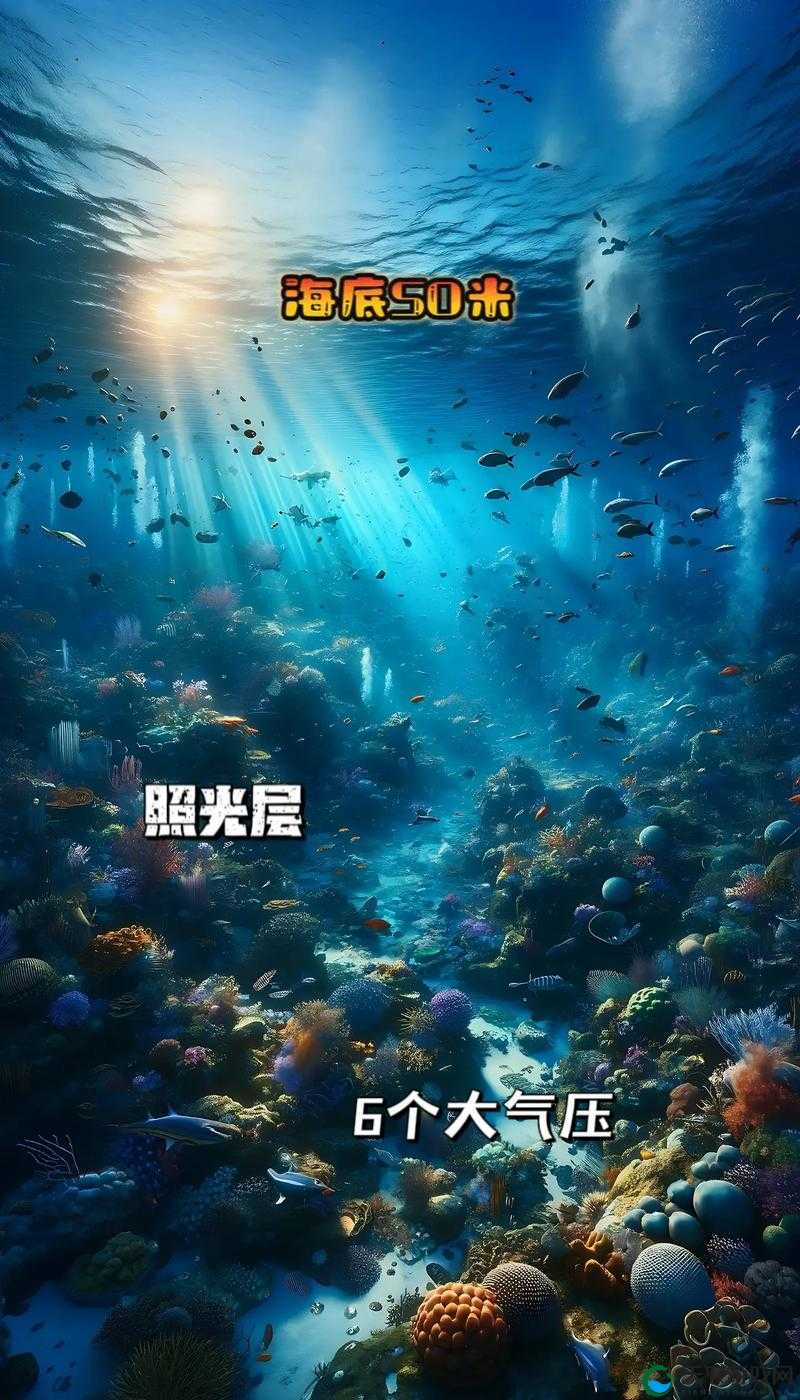 深渊地平线，策略与激情的海洋之旅