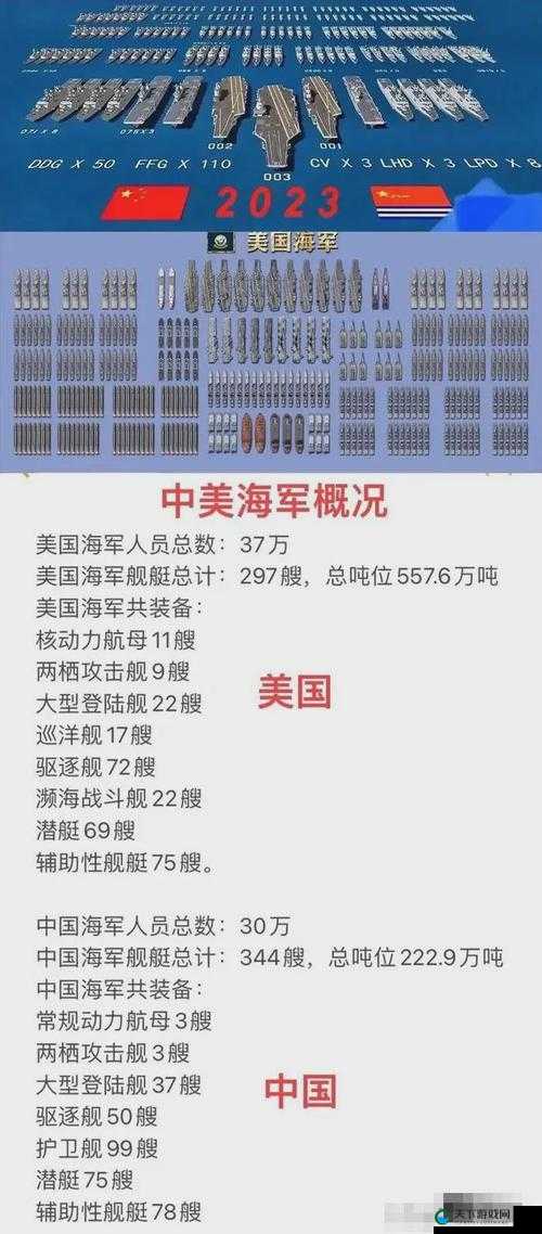 全球行动军衔体系深度解析