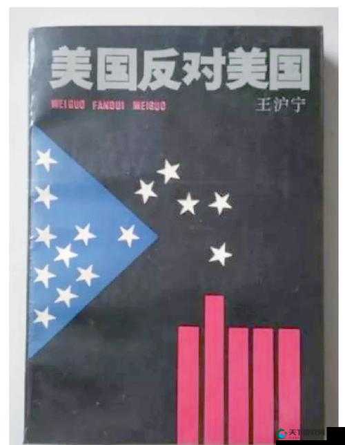 xxxx69 美国：揭示美国的秘密与挑战