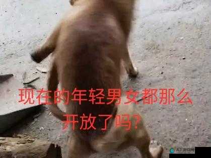 带你探索叼嗨软件背后的神秘世界