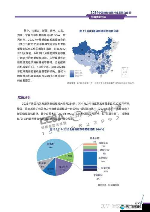 2024 年四川妇女 BBBB 职业发展-未来前景与机遇分析及应对策略探讨