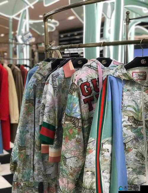 GucciSupreme 系列时尚潮流引领者之魅力展现与风格解读