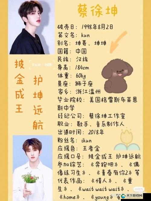 坤坤和坤坤之间的称呼之谜：探寻亲密关系中的甜蜜代号