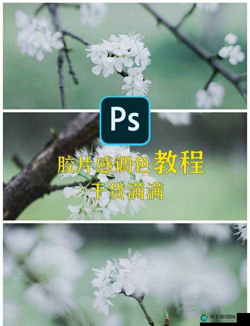 免费 PS 大片段视频调色教程及技巧分享