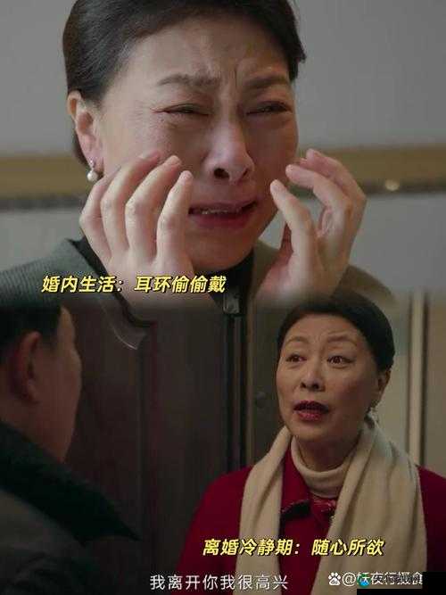 儿媳李茹老王儿之间的故事：爱与矛盾的交织