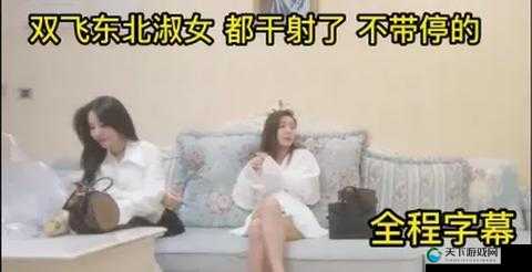 熟女双飞:一场别样的激情之旅