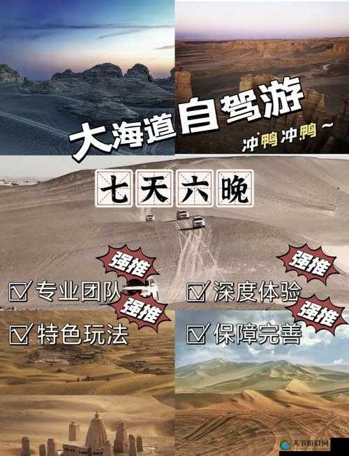 无人区卡一卡二卡三芒果乱码：探寻神秘背后的故事