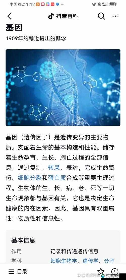 日本人 DNA 与中国人 DNA 的独特关联与启示