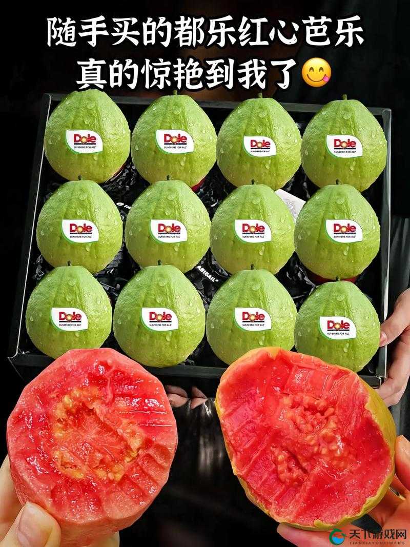 芭乐丝瓜黄瓜绿榴莲最新版：带你领略独特果蔬世界的精彩