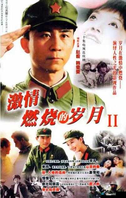 久久 A 级片：一段激情燃烧的岁月